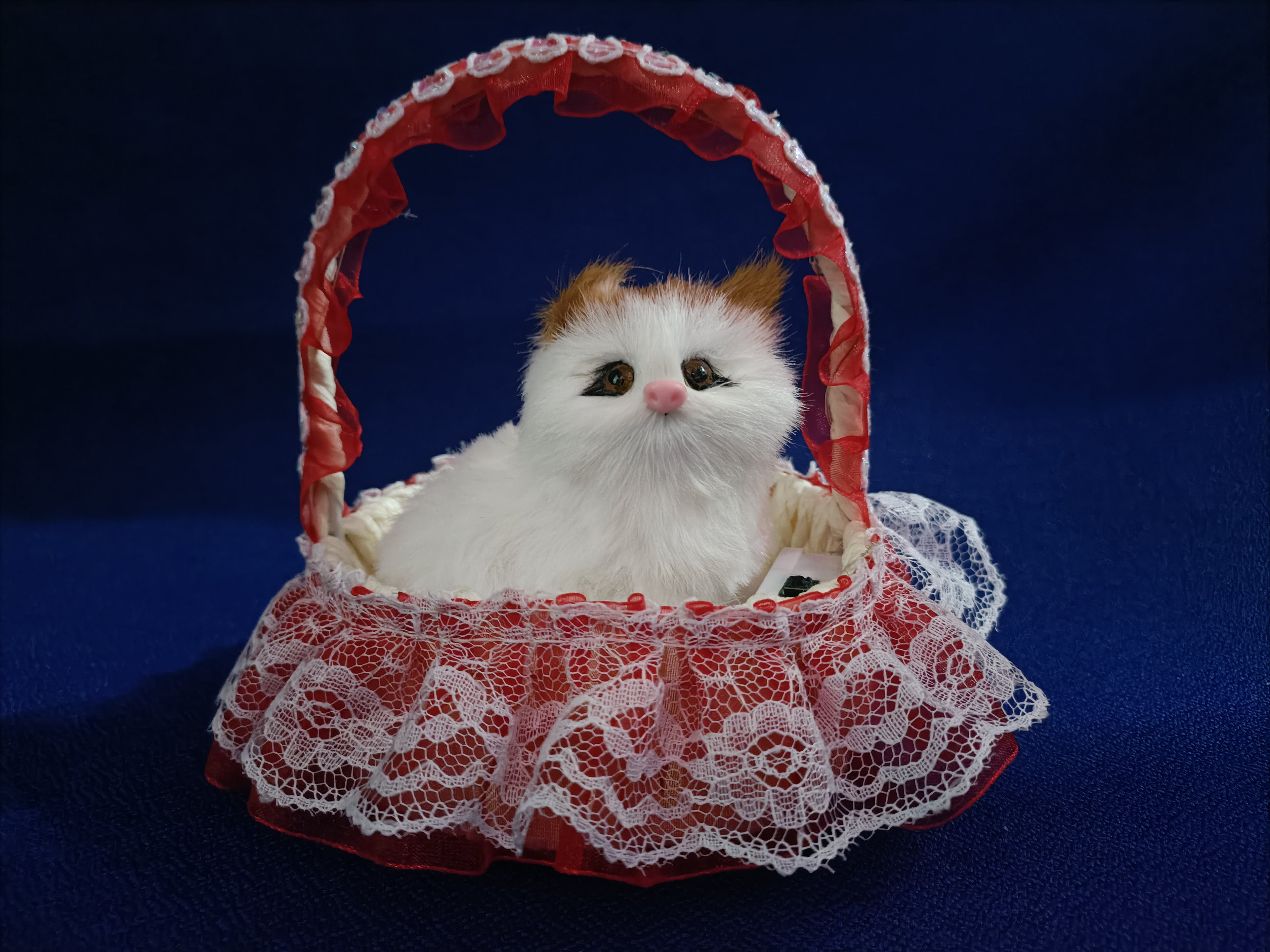 Kitty in Basket