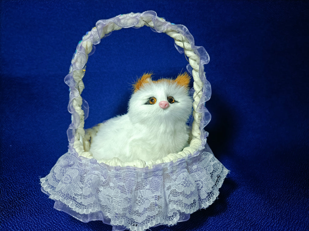 Kitty in Basket